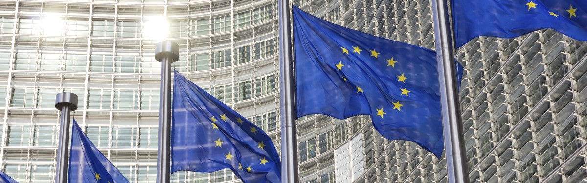 EU vlaggen.jpg